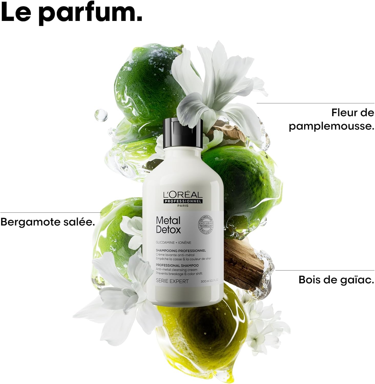L'OREAL PROFESSIONNEL - Metal Detox - Cheveux Secs Et Abîmés, Raides À Bouclés, Naturels À Colorés - Sans Sulfate - Anti-Casse - +67% De Nutrition - 2X plus De Brillance